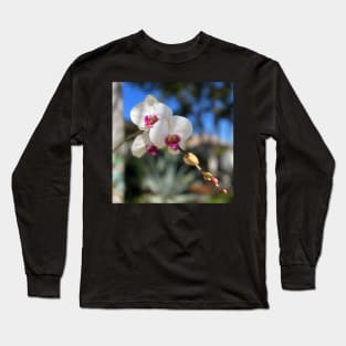 White Orchid Trio Pink Centers Long Sleeve T-Shirt